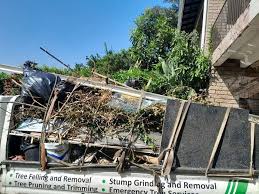 Demolition Debris Removal in Milford, IL