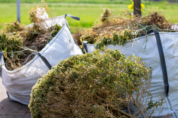 Best Yard Waste Removal  in Mford, IL